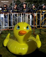 ¿Cómo se convirtió el pato de hule en un símbolo de protesta?