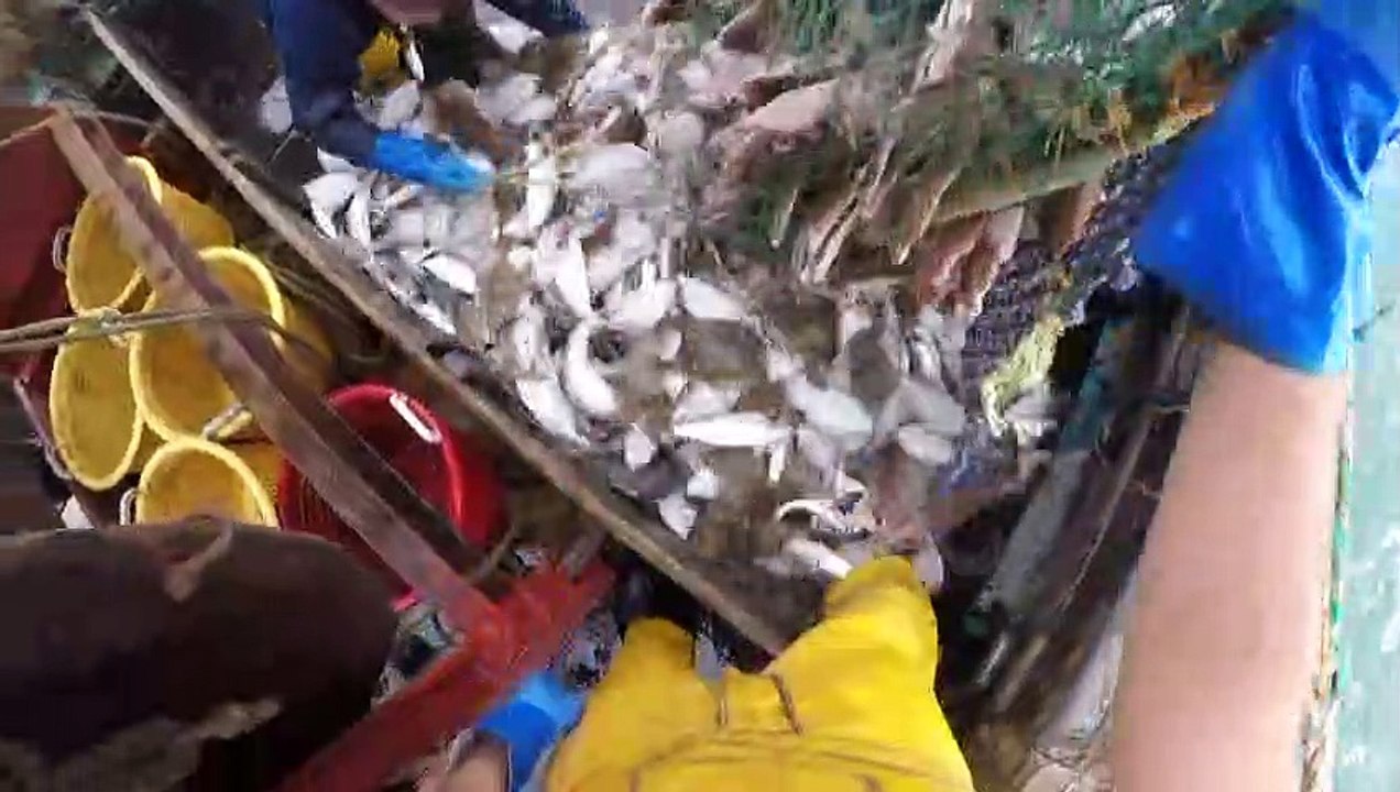 Last minute: brexit-handelsgespräche, merkel hofft noch auf einigung