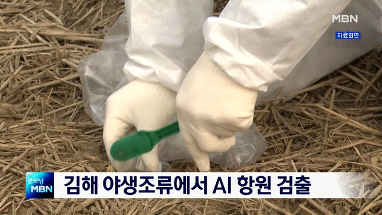[종합뉴스 단신] 김해 야생조류에서 AI 항원 검출…일대 통제·방역 강화