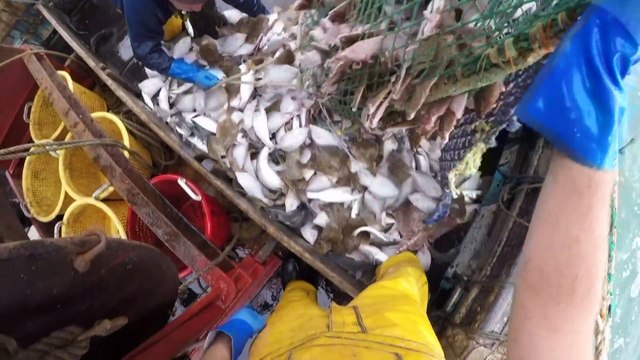 Последние переговоры по брекситу