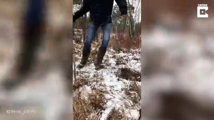 Erstaunliches Phänomen: Wenn sich die Erde im Wald bewegt