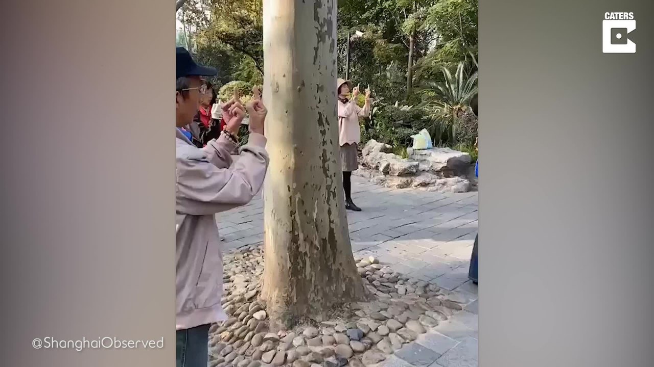 Perfekt für Sportmuffel: Mittelfinger-Pilates