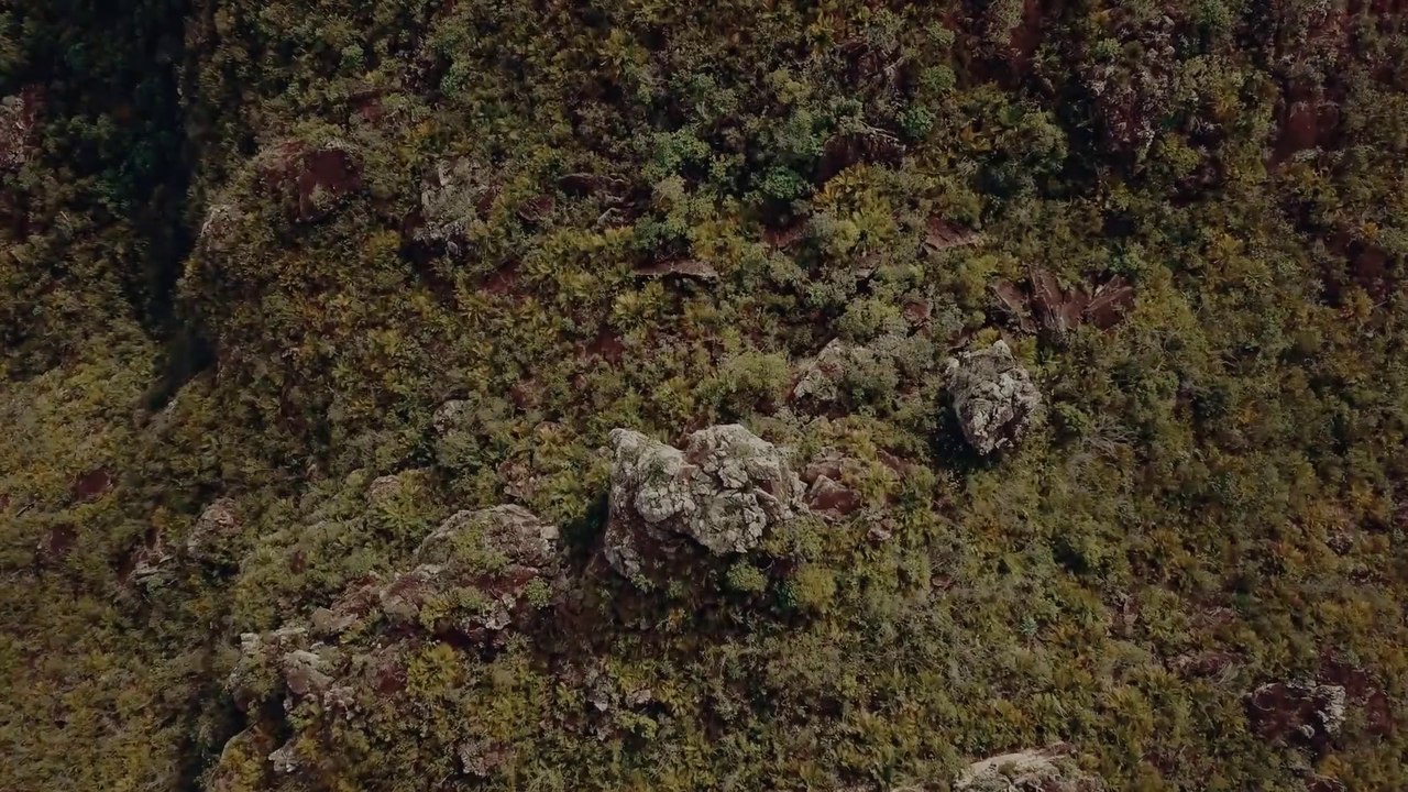 REQUILOMBA - Teaser