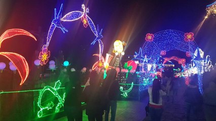 Gobierno pide extremar los cuidados durante celebraciones de diciembre