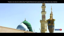 Eid Milad un Nabi | Mehfil Milad e Mustafa (S.A.W) | Mawlid