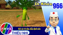 Dr. Khỏe - Tập 966: Cải cúc trị đau đầu kinh niên