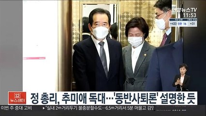 정 총리, 추미애 독대…'동반사퇴론' 설명한 듯