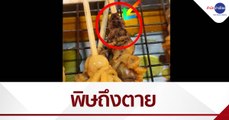 ตรวจสอบ 