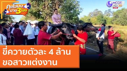 ขี่ควายตัวละ 4 ล้าน ขอสาวแต่งงาน [30 พ.ย. 63] คุยโขมงบ่าย 3 โมง | 9 MCOT HD