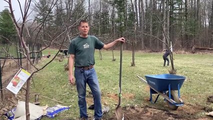 Country Living - Amateur Style - Planting Trees