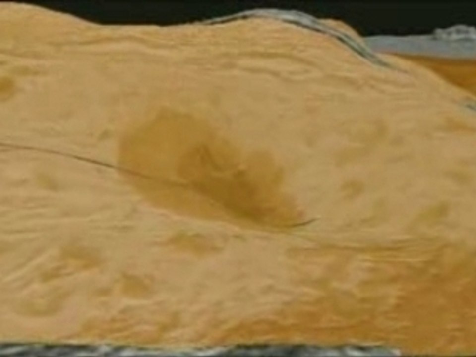 wanatiofollet Venus