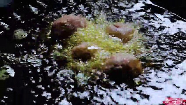 Varias técnicas para una cena de Nochevieja para un feliz reencuentro con familiares y amigos