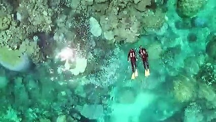 Queensland Treasurer hands down COVID-hit budget