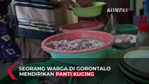 Inspiratif! Warga Gorontalo Dirikan Panti untuk Kucing Terlantar