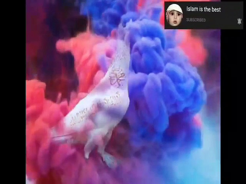 Favorite videos