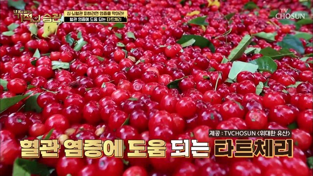 혈관 염증에 도움 주는 ‘○○○○’ #광고포함