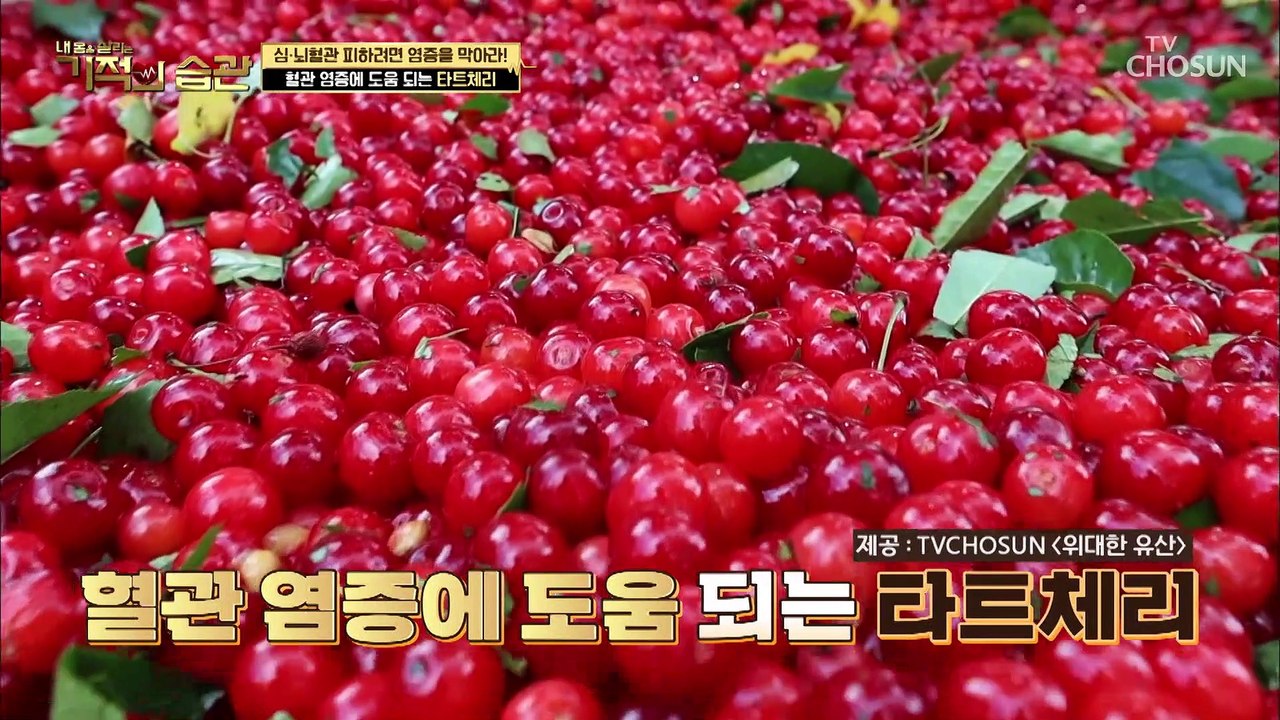 혈관 염증에 도움 주는 ‘○○○○’ #광고포함