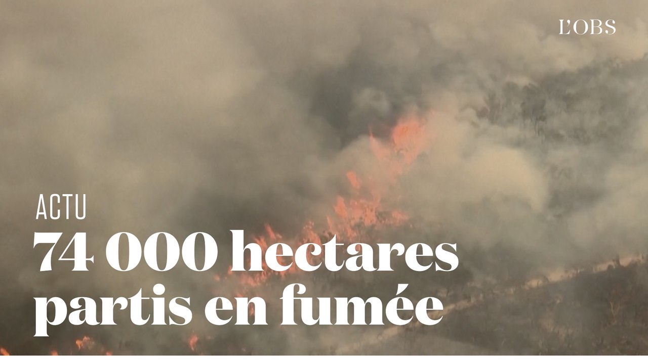 Les incendies ravagent Fraser Island, île australienne classée à l'Unesco