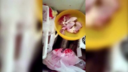 Vídeo: Moradores da comunidade Alto Alegre sofrem com a falta de energia
