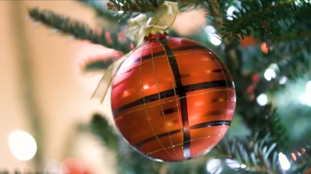 La Navidad llega a la Casa Blanca