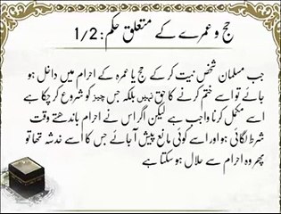 Hajj O Umrah K Mutaliq Hukam | Hadees | Islamic