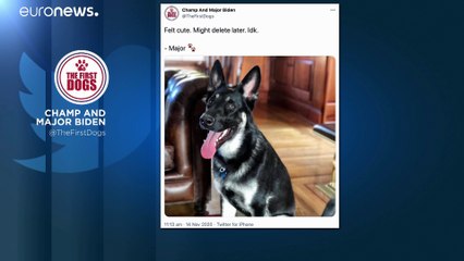 Los reyes de la Casa Blanca | Dos siglos de mascotas presidenciales