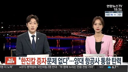 "한진칼 증자 문제 없다…양대 항공사 통합 탄력