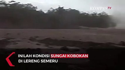 [Video Amatir] Lahar Semeru Penuhi Aliran Sungai di Lumajang