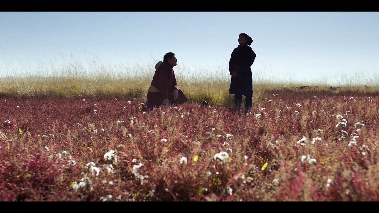 DIE ADERN DER WELT Film Vorschau