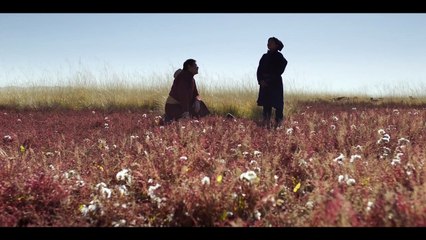 DIE ADERN DER WELT Film Vorschau