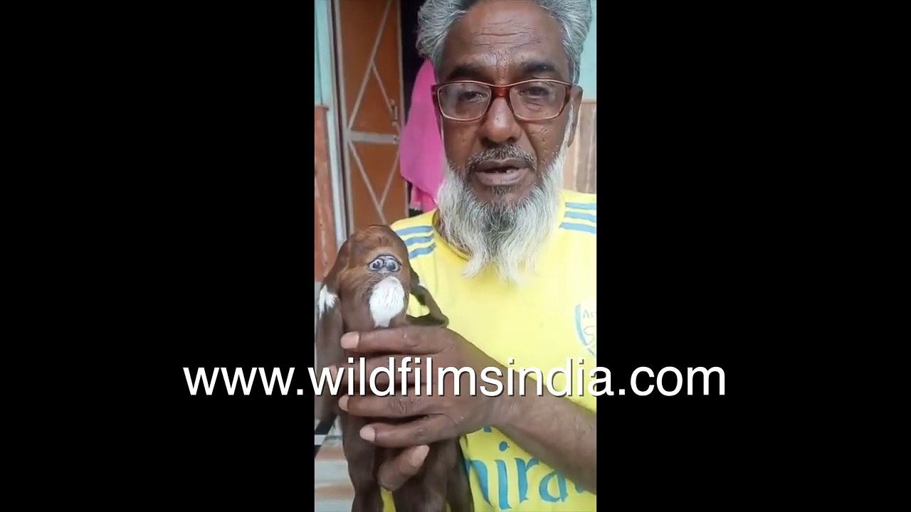 Mutated goat looks like human face_ - Unique animal faces from India