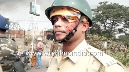 Video herunterladen: Stone pelting, police use rubber ammunition on demonstrators, injured policemen at CAA rally, WB