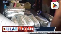 #UlatBayan | DILG: Ilang drug users sa bansa, bumabalik sa paggamit ng marijuana dahil sa hirap ng makakuha ng shabu