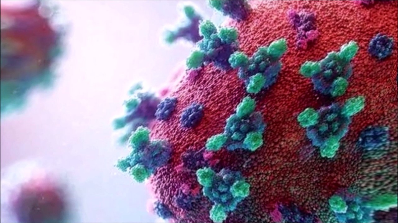 Tangerine Dream Near Dark video Dailymotion