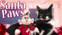 Santa Paws: send us your photos!