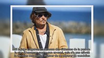 ✅ VIDEO. Johnny Depp sera payé en intégralité pour son rôle dans « Les Animaux Fantastiques 3 »