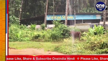 Cyclone Alert : Tamilnadu,Kerala में चक्रवाती तूफान का खतरा,भारी बारिश की चेतावनी | वनइंडिया हिंदी