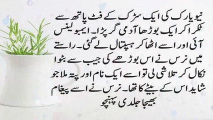 Urdu Moral Stories -- Moral Stories in Urdu & Hindi -- Sabaq Amoz Kahani Hindi-Urdu - Stories