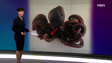 김주하의 12월 1일 '이 한 장의 사진'