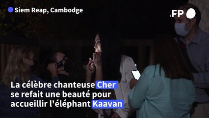 Au Cambodge, Cher accueille l'éléphant maltraité