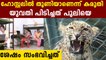 Leopard strays into Guwahati girls' hostel, triggers panic | Oneindia Malayalam