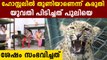 Leopard strays into Guwahati girls' hostel, triggers panic | Oneindia Malayalam