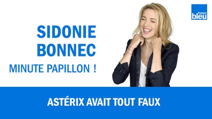 Menhir, sanglier, Gaulois : Astérix avait tout faux !