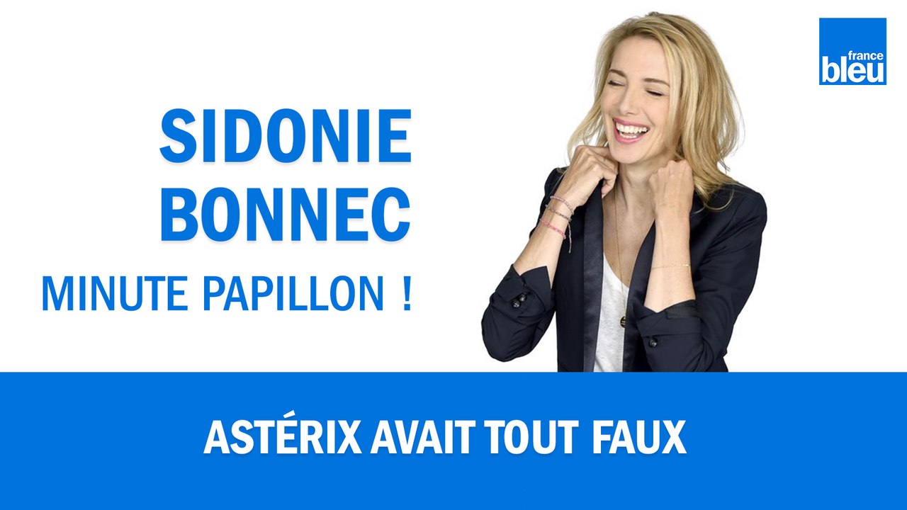 Menhir, sanglier, Gaulois : Astérix avait tout faux !