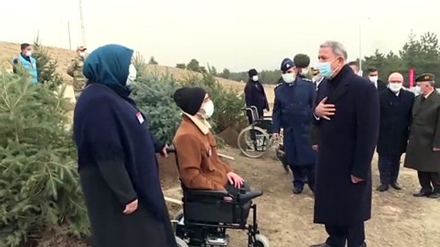 ANKARA - Akar ve komutanlar gazilerle birlikte fidan dikti