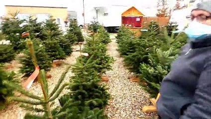 Brumath en Alsace et la vente de Sapins chez Dominique pour 2020