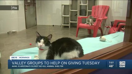 AAWL hoping to receive support on Giving Tuesday