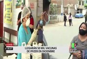 Coronavirus en Perú: llegarán 50 mil dosis de la vacuna de Pfizer en los próximos días