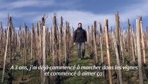Côte-Rôtie et Condrieu, coup de jeune sur les perles viticoles du Rhône
