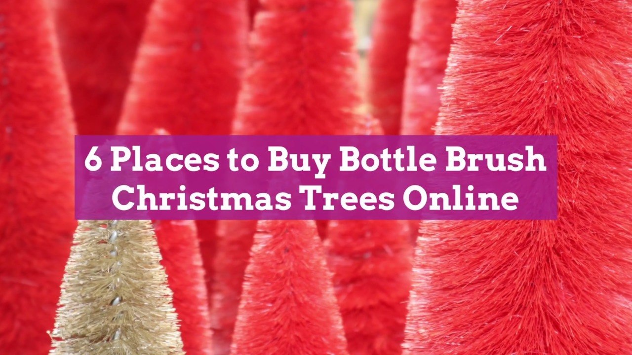 6 Places to Buy Bottle Brush Christmas Trees Online